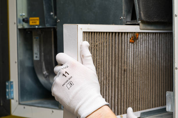 Best Affordable Duct Cleaning Services  in Darlington, SC