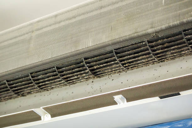 Best Best Air Duct Cleaning Company  in Darlington, SC